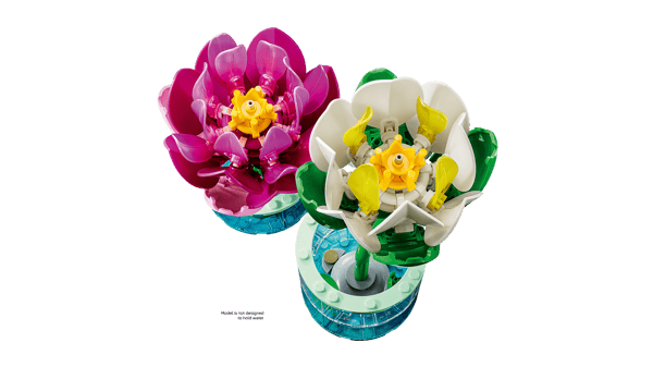 Water Lilies - Image 5