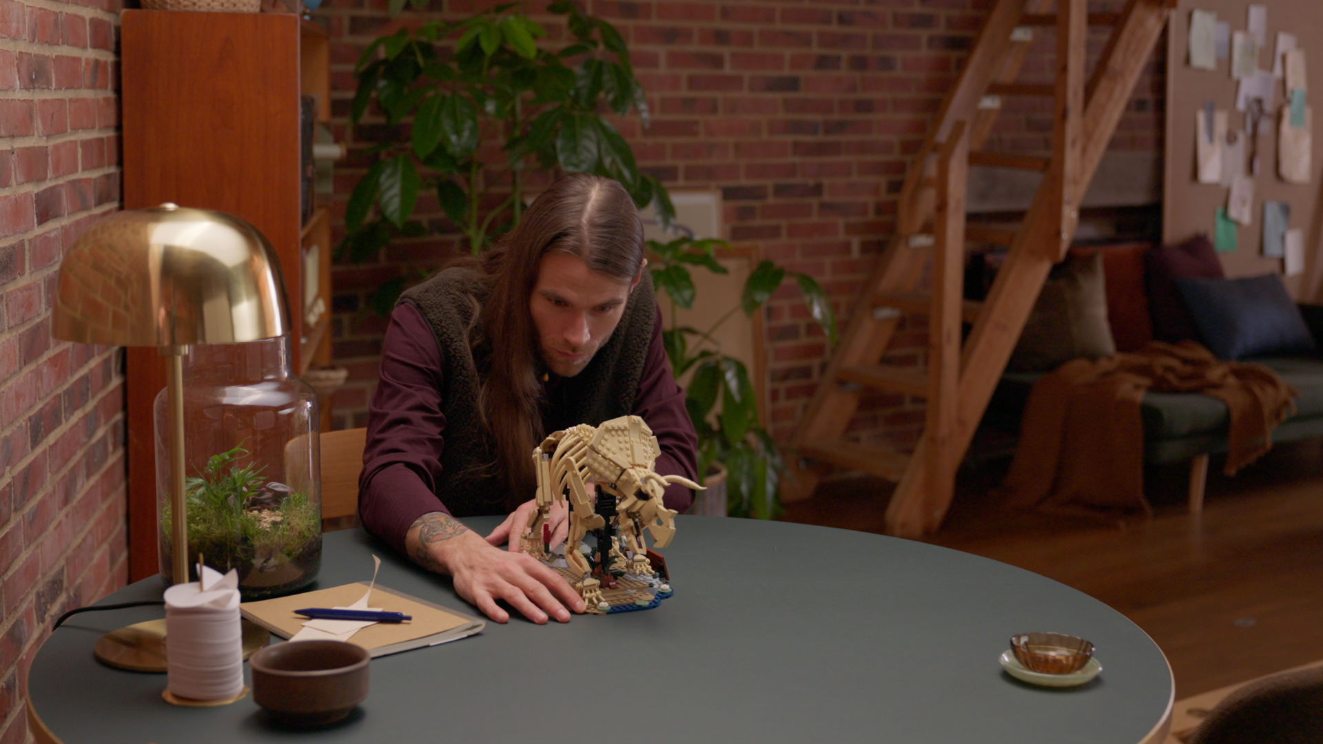 Dinosaur Fossils: Triceratops - Image 4