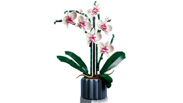 LEGO 10311 L’orchidée — visuel 5 sur 8
