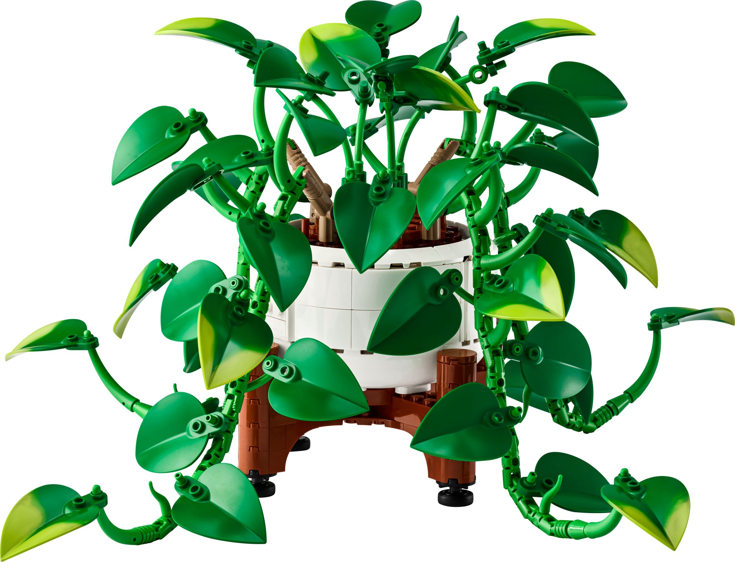 Set LEGO Icons 11512 Pothos doré tombant
