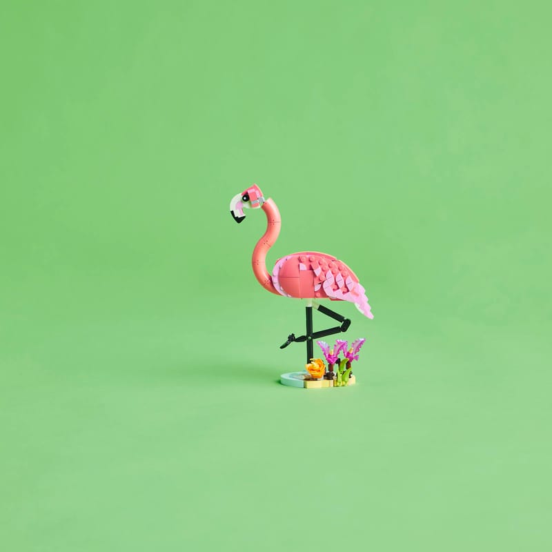 HOGOKIDS 3 in 1 Set Costruzioni Fenicottero Rosa con Fiori, Animale 3 Opzioni di Montaggio - Fenicottero, Coniglio o Delfino, 558 Pezzi, Giocattolo Educativo Creativo Pasqua Compleanno 6 HOGOKIDS 3 in 1 Set Costruzioni Fenicottero Rosa con Fiori, Animale 3 Opzioni di Montaggio - Fenicottero, Coniglio o Delfino, 558 Pezzi, Giocattolo Educativo Creativo Pasqua Compleanno 6
