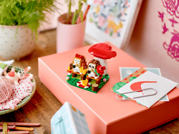 Hedgehog Picnic Date - Image 5