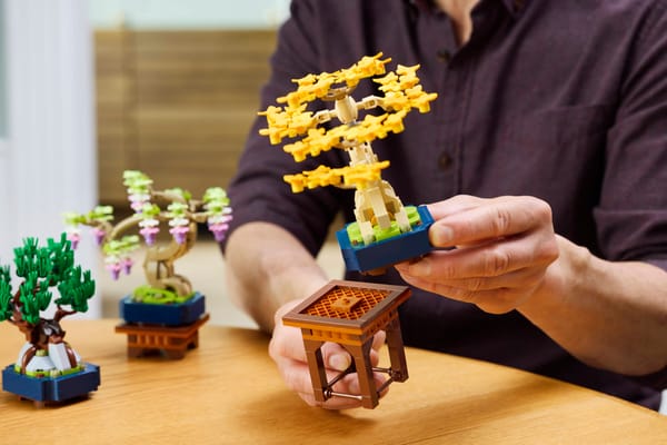 Mini Bonsai Trees - Image 14