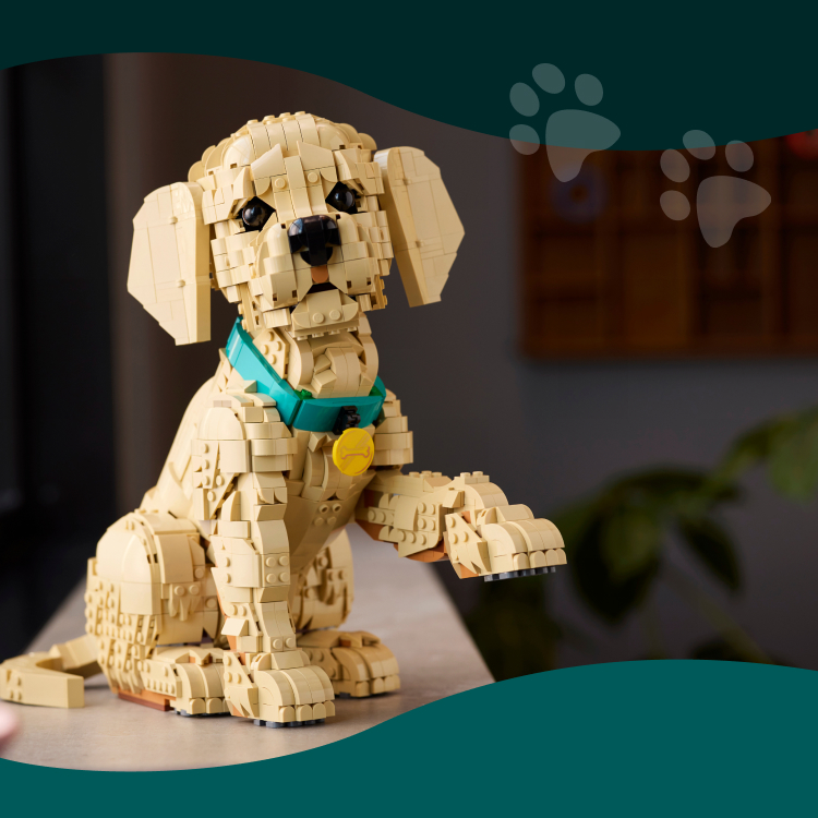 ゴールデンレトリバーの子犬 11384 | LEGO® Icons |レゴ®ストア公式