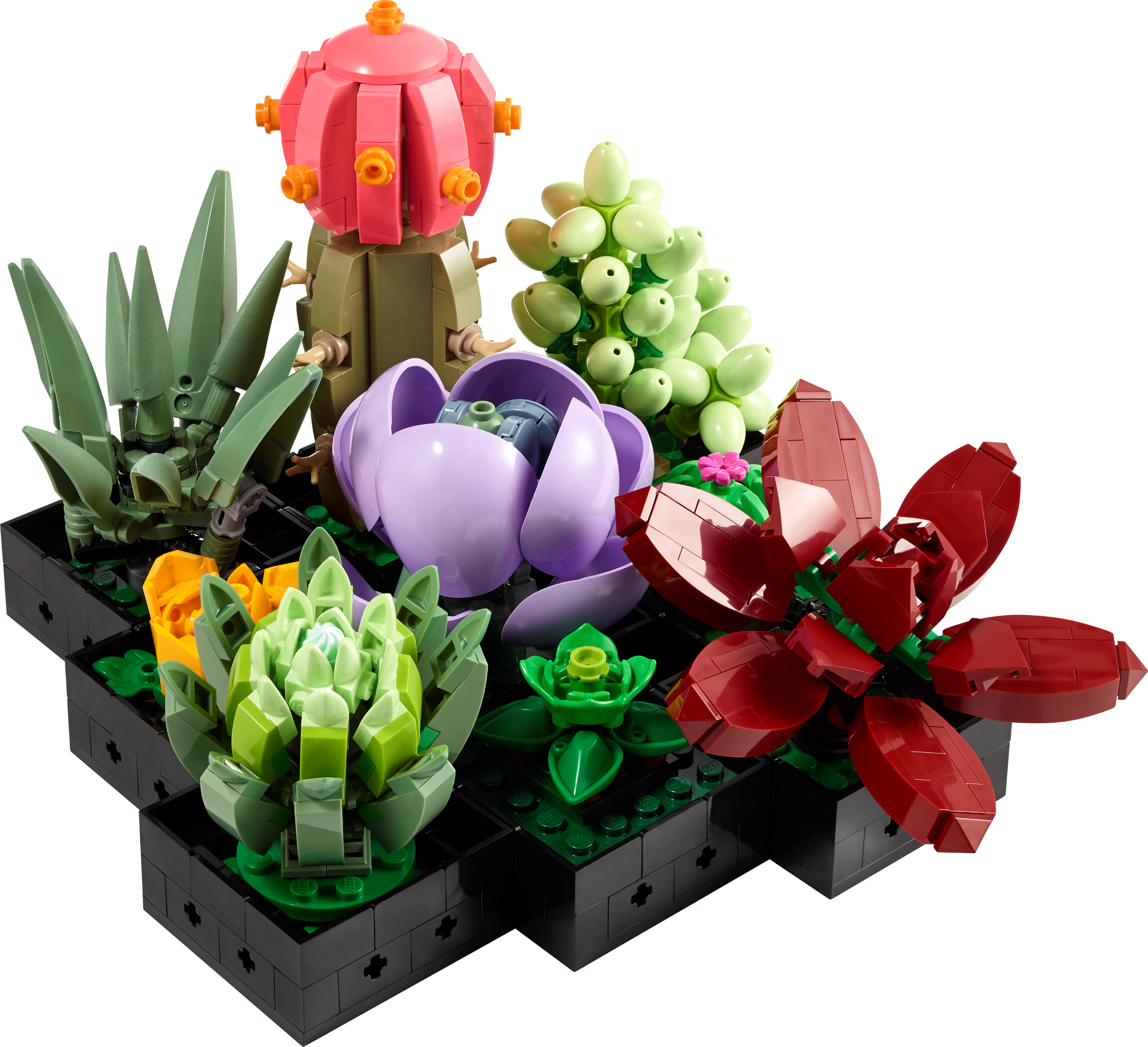 Les succulentes 10309 | LEGO® Icons | Boutique LEGO® officielle CA