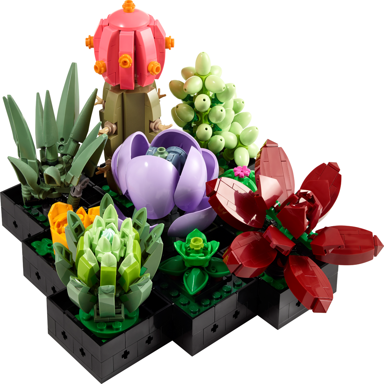 Vetplanten 10309 | LEGO® Icons | Officiële LEGO® winkel NL 
