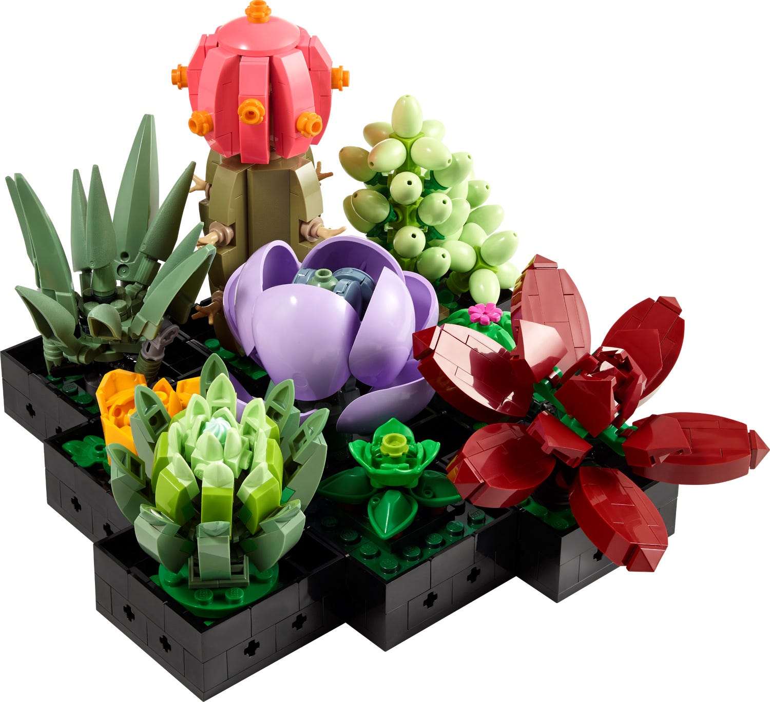 Succulents 10309 | The Botanical Collection | Buy online at the Official LEGO® Shop US