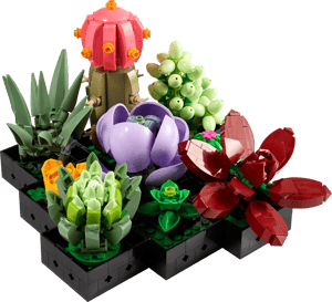Les succulentes
