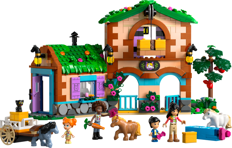 Le ranch et les écuries des poneys - Image 1