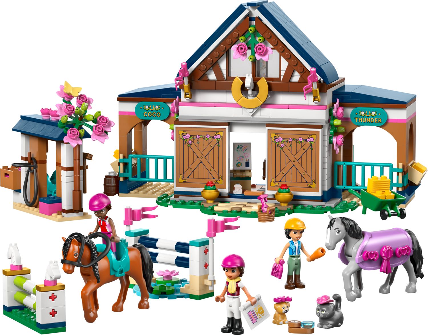 Horse Stable and Riding Academy
