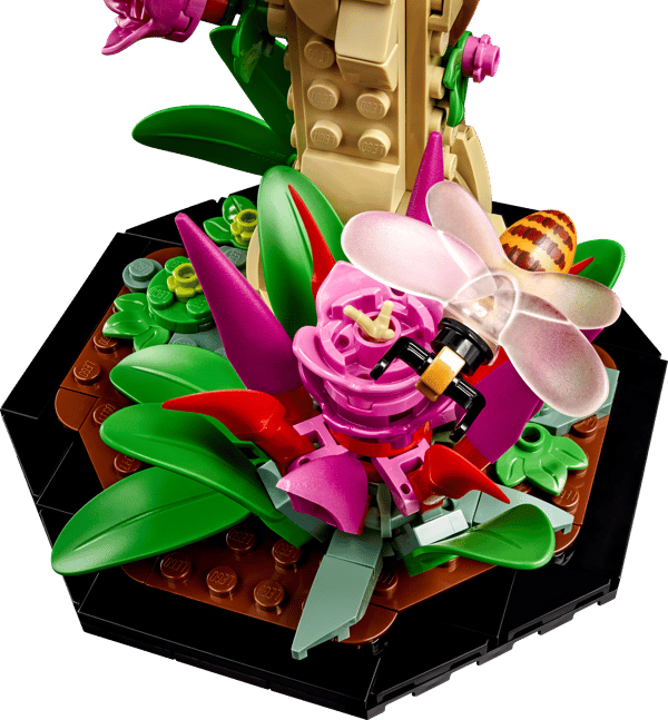 The Insect Collection - Image 8