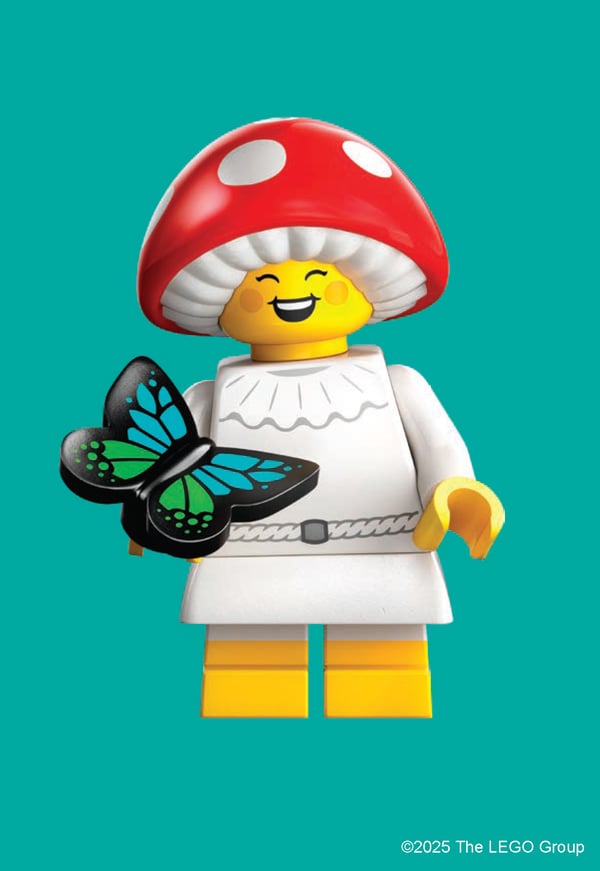 LEGO 5010342 Minifigures : 100 cartes postales à collectionner — visuel 3 sur 4