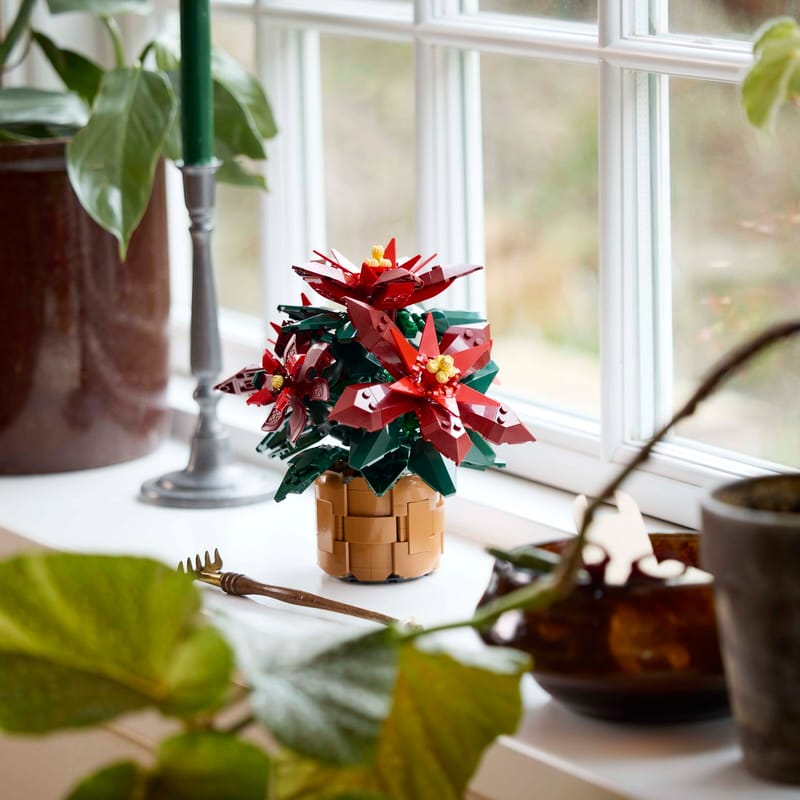 Poinsettia 10370 | Botanicals | Buy online at the Official LEGO® Shop US