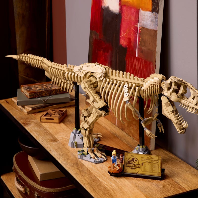 Dinosaur Fossils: Tyrannosaurus rex