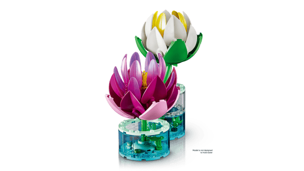 Water Lilies - Image 6