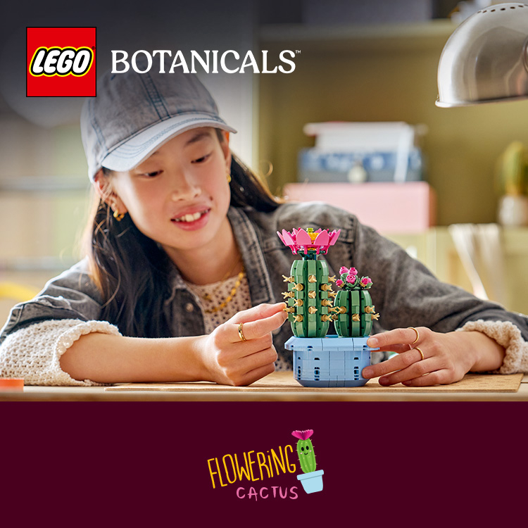 Flowering Cactus 11509 | The Botanical Collection | Buy online at