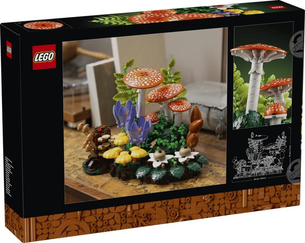 Woodland Mushrooms - Image 15