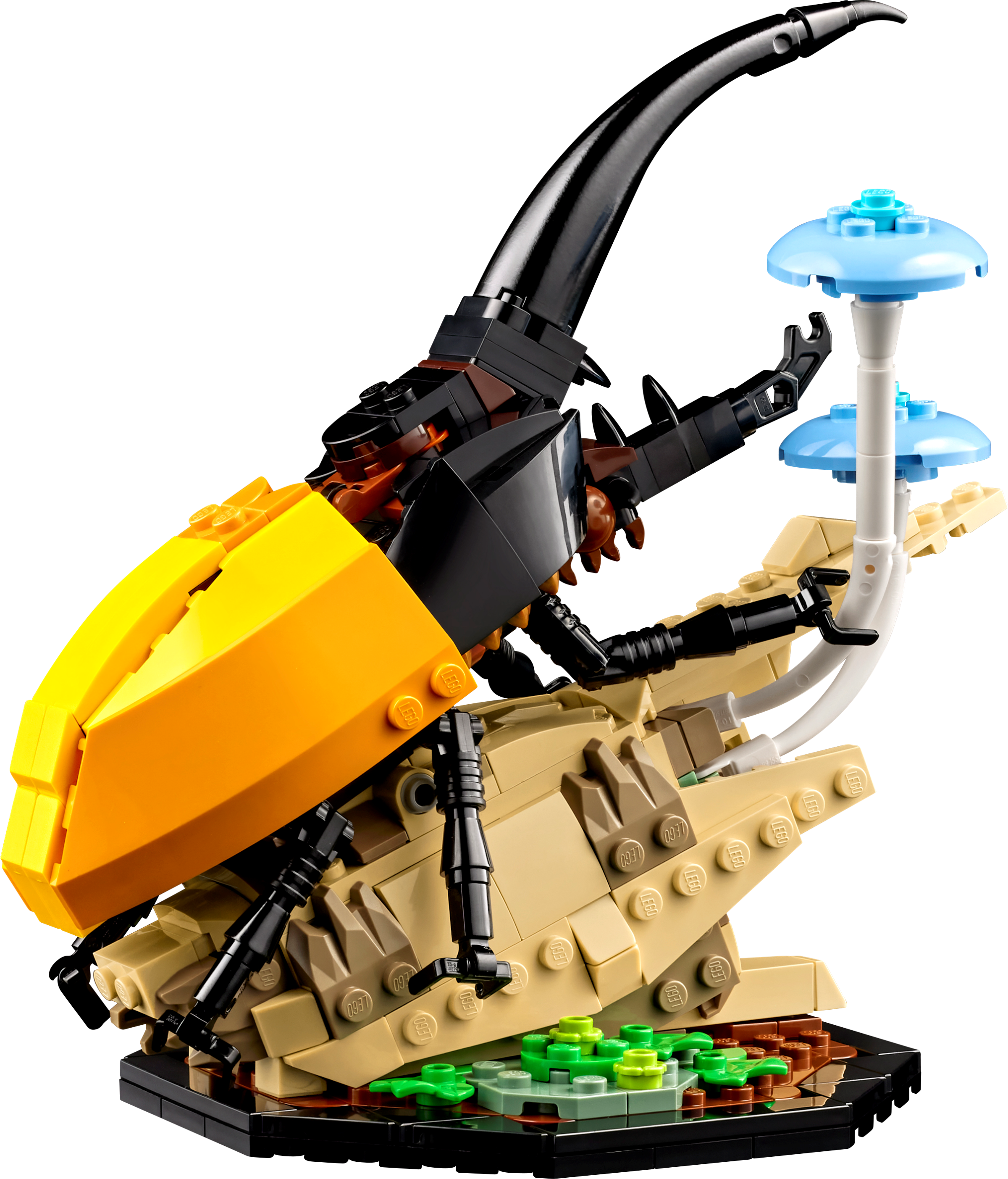 LEGO IDEAS - Blog - Signing Events for LEGO® Ideas 21342 The Insect  Collection