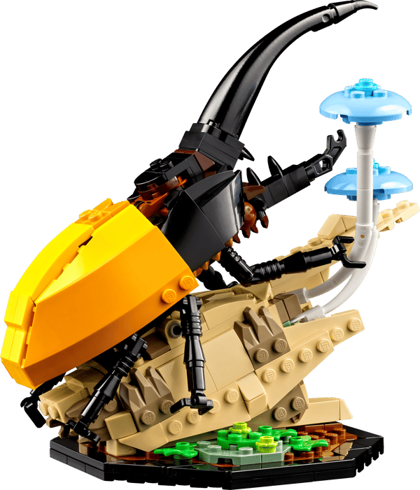 The Insect Collection - Image 7