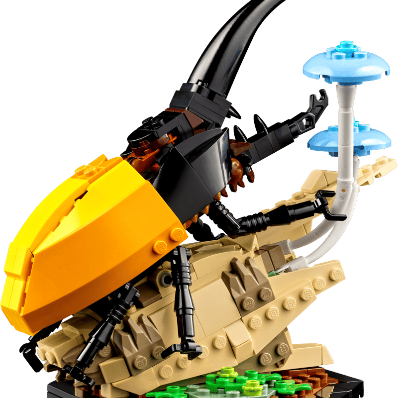 The Insect Collection