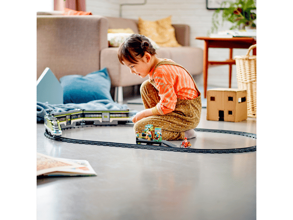 Express Passenger Train - Image 16