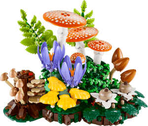 Les champignons des bois