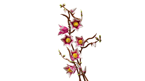 LEGO 11510 Branches de magnolia — visuel 7 sur 8