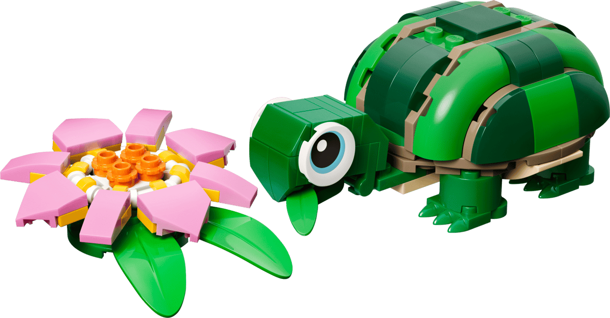 La tortue et la fleur de nénuphar — Vue principale
