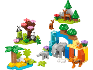 Familles d’animaux sauvages 3-en-1