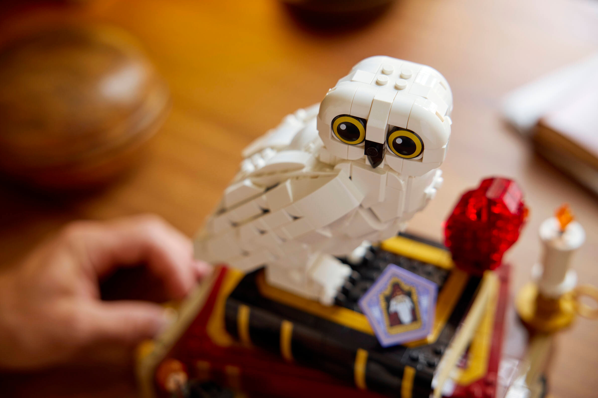 ポッターです 賢者の石 ― コレクターズエディション 76466 | ハリー・ポッター