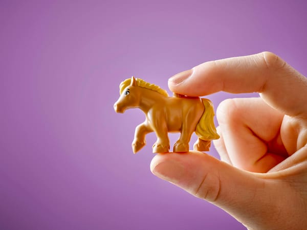 Pony Ranch & Stable - Image 12