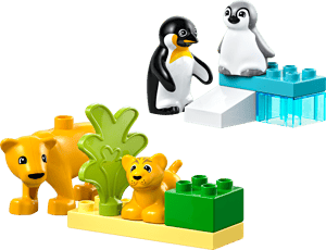 Familles d’animaux sauvages : pingouins et lions