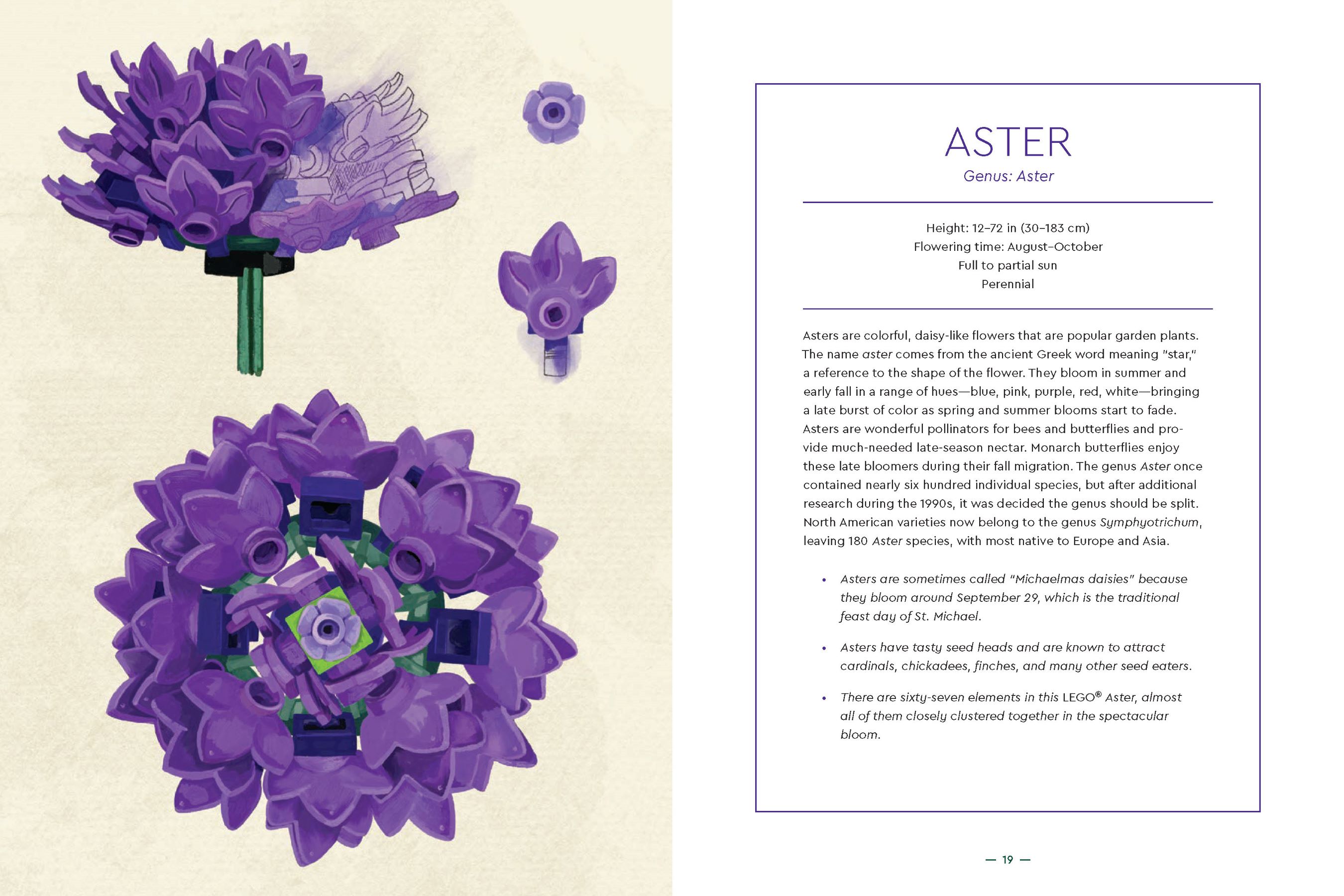 BLOOMページ ブルーム・ラインページ｜フランクリン・プランナーのシステム手帳