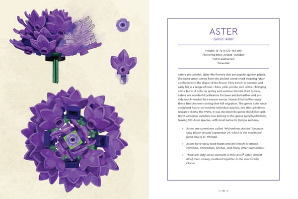 Botanical Almanac Book - Image 6