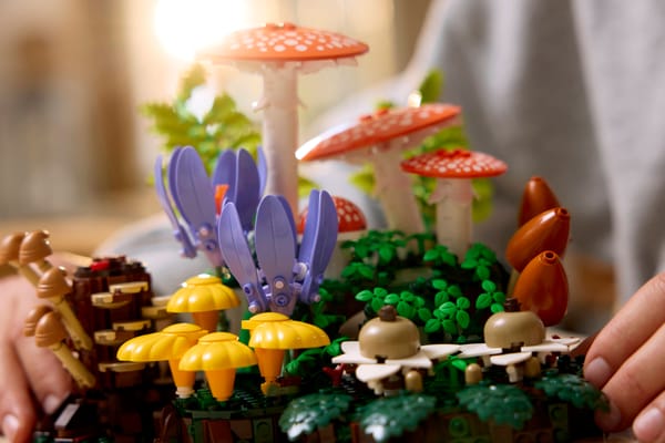 Woodland Mushrooms - Image 9