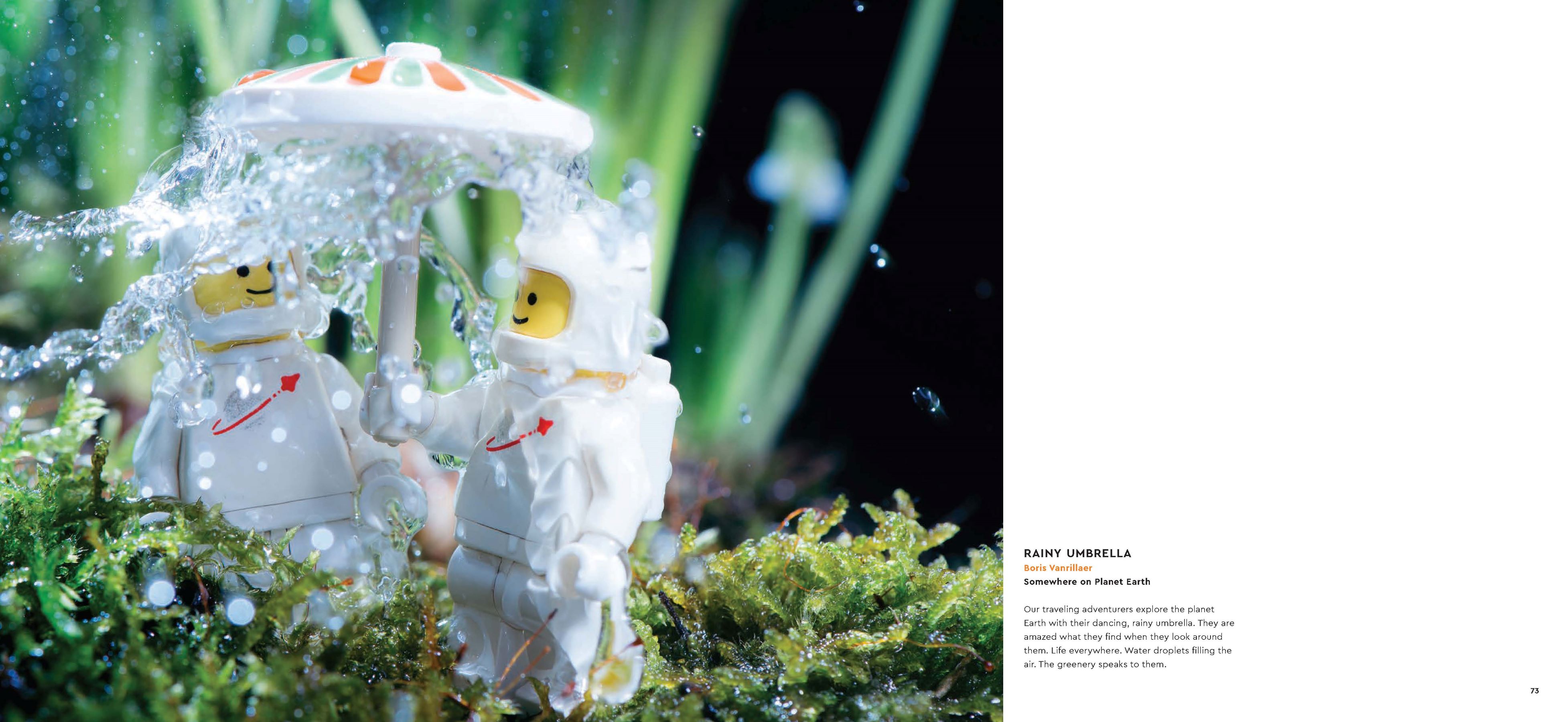 In Focus Book 5007642 | Minifigures | Buy online at the Official