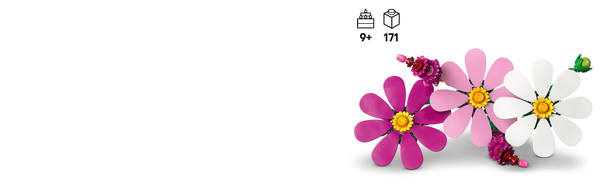 Close-up lifestyle view of the LEGO Botanicals Cosmos Flowers set