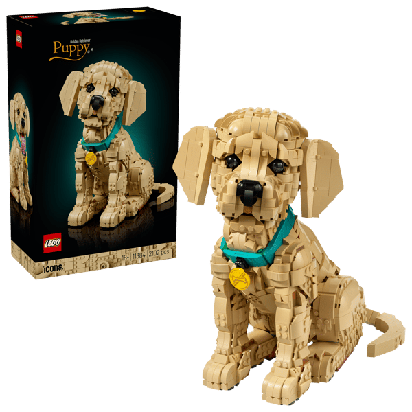 LEGO 11384 Le chiot Golden Retriever — visuel 2 sur 8