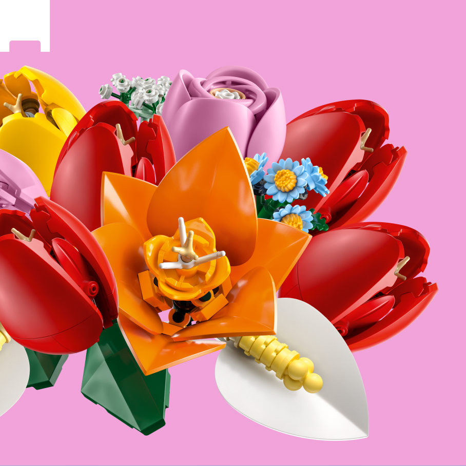 Wild and wonderful gifts for nature lovers | Official LEGO® Shop US