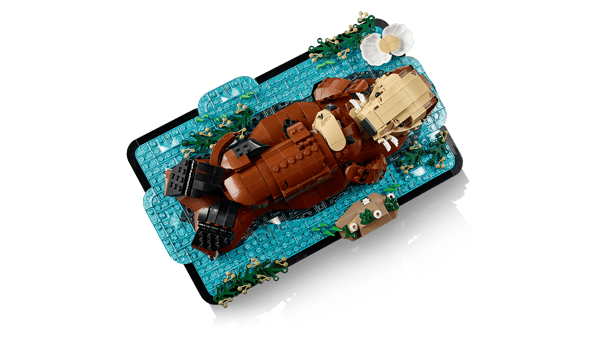 LEGO 21366 Les loutres câlines — visuel 4 sur 8