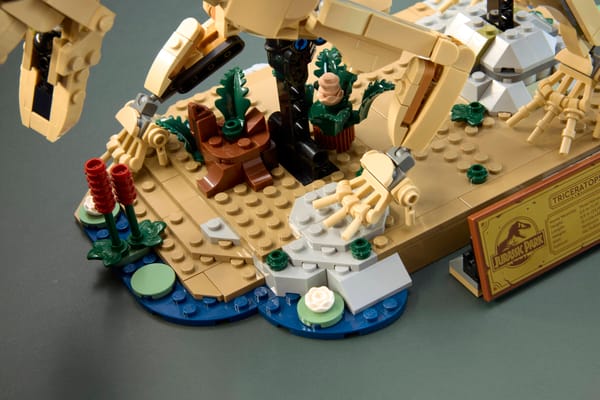 Dinosaur Fossils: Triceratops - Image 15