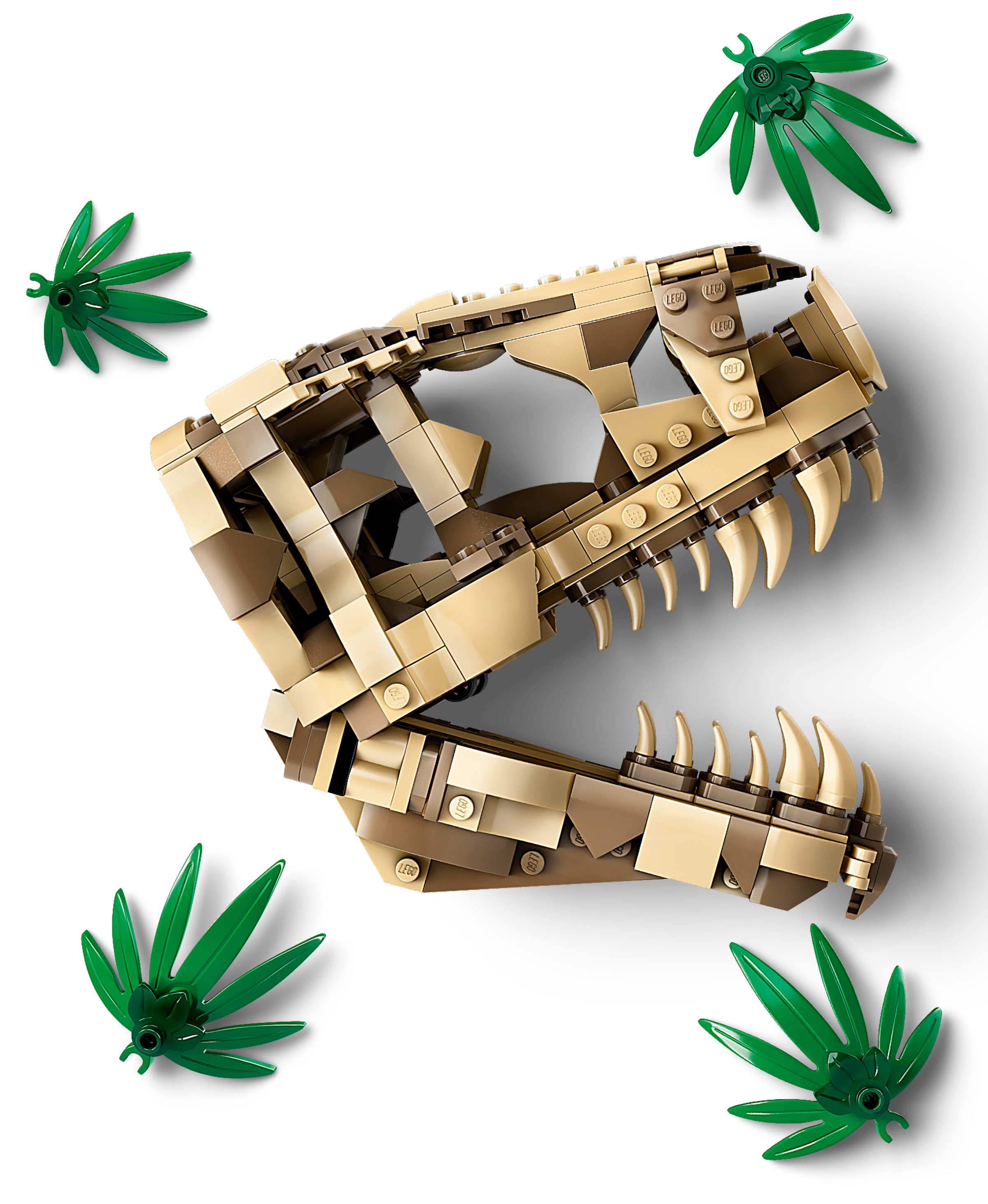 Dinosaur Fossils: T. rex Skull 76964, Jurassic World™