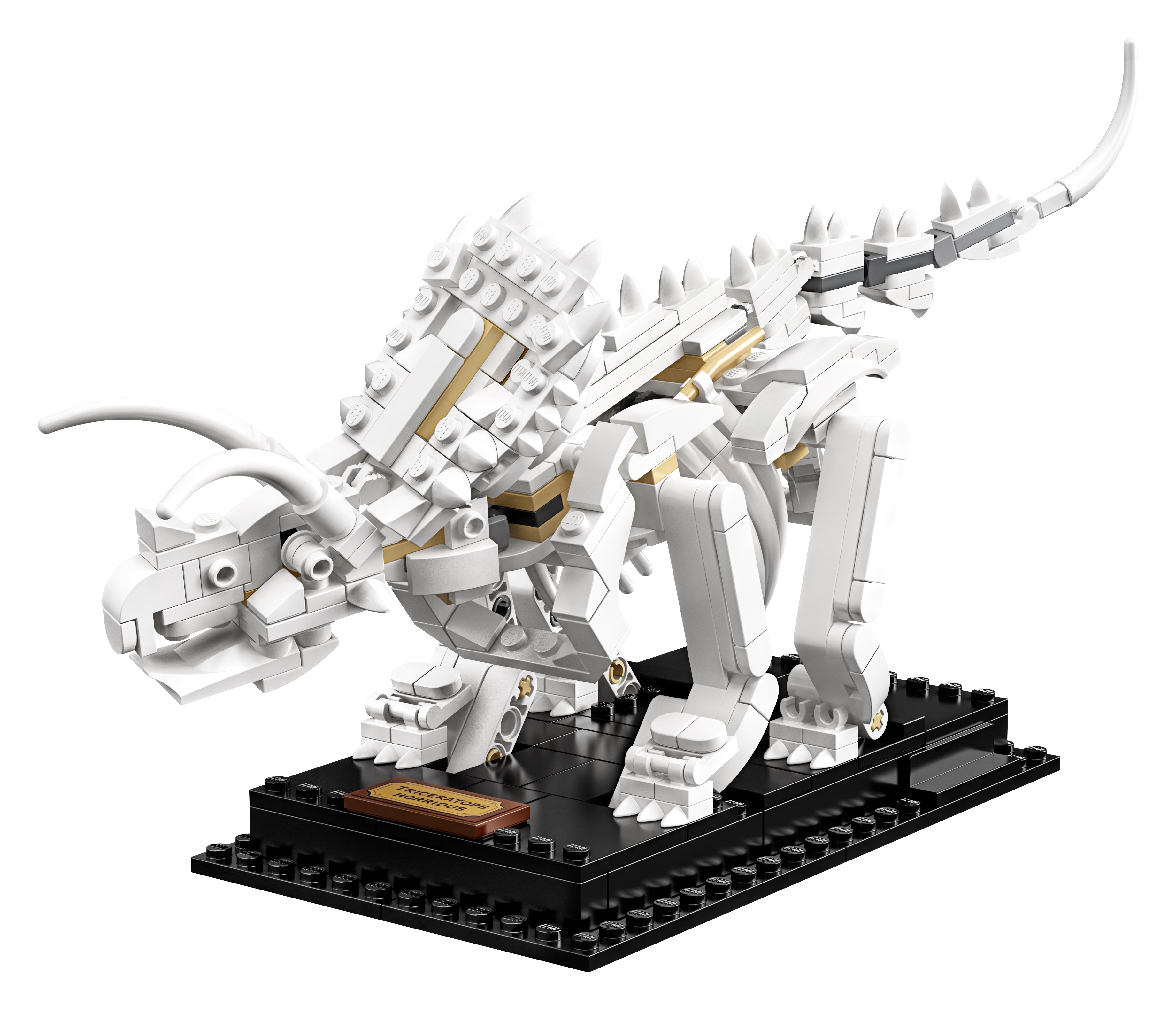 LEGO® Ideas 21320 Ideas Dinosaurier Fossilien Neu & OVP ☄️