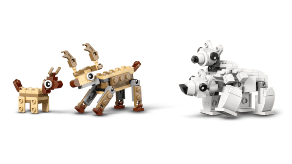 LEGO 45203 Kit de science Animaux de l’Arctique — visuel 6 sur 8