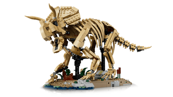 LEGO 77985 Les fossiles de dinosaure : le tricératops — visuel 4 sur 8