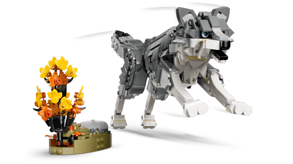 Forest Animals: Gray Wolf - Image 7
