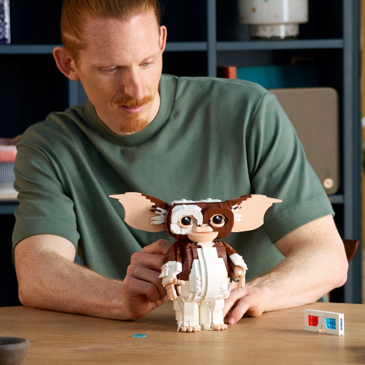 ヒスミニ セット8090 01_AdultsWelcome-Article-