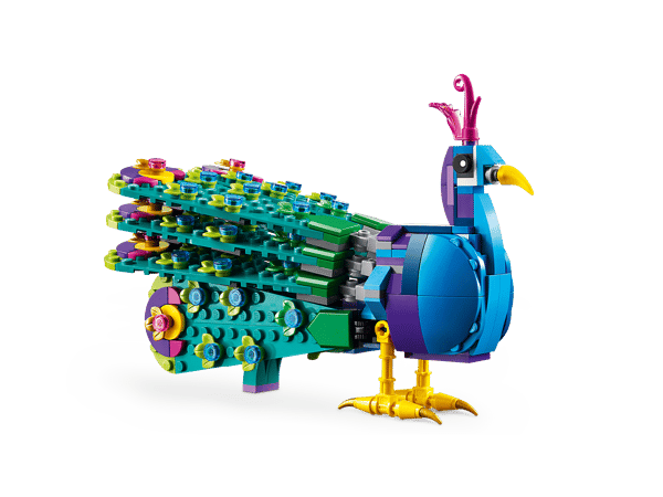 Exotic Peacock - Image 5