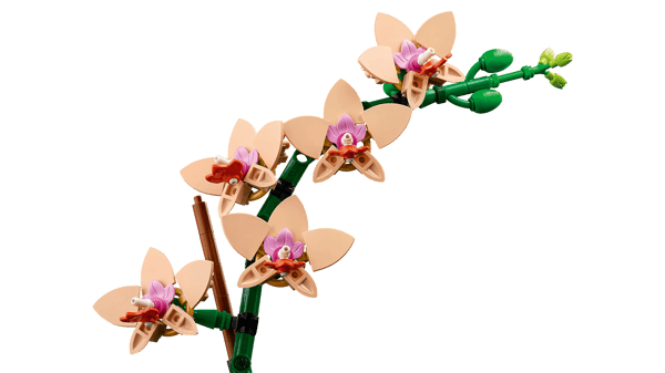 LEGO 10343 L’orchidée miniature — visuel 6 sur 8