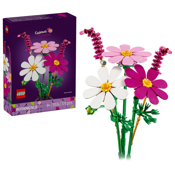 Cosmos Flowers - Image 3